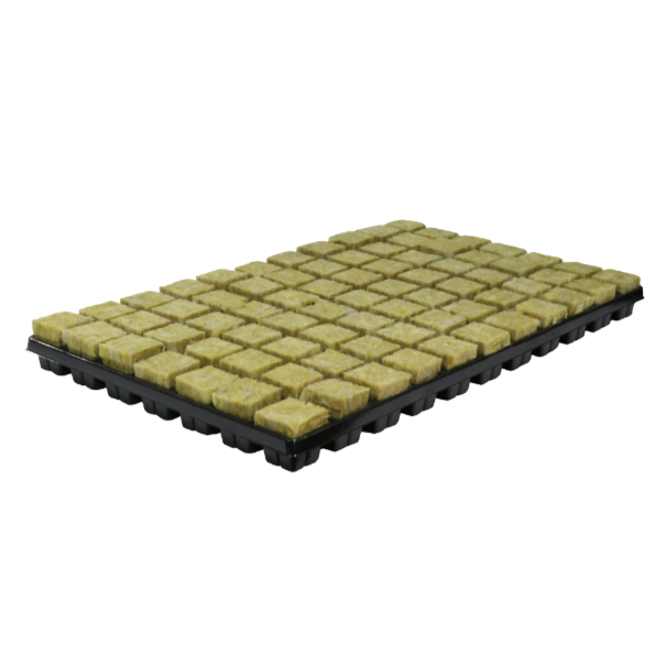NUTRIFIELD STONEWOOL TRAY (77 piece) - 35x35x40mm Cubes