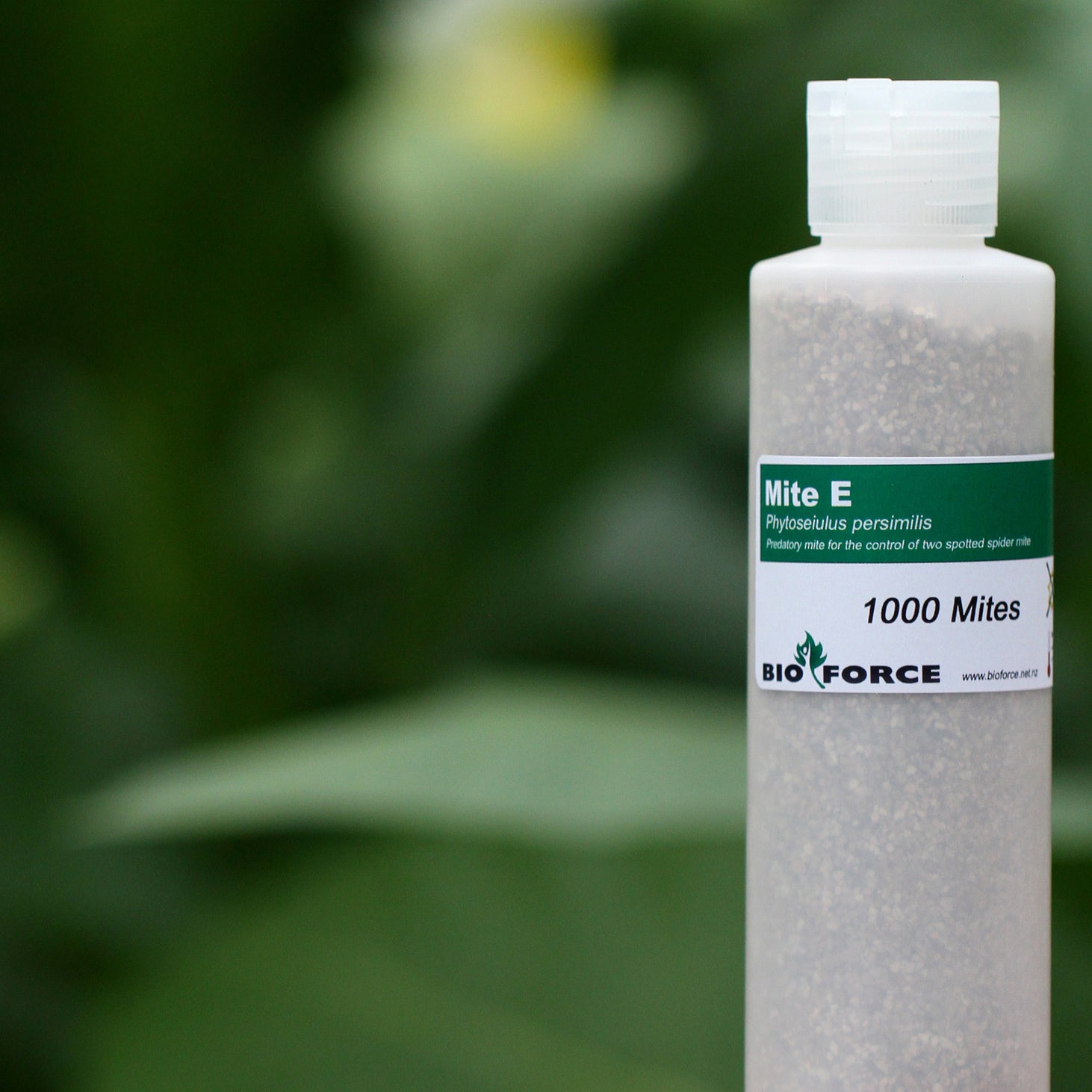 Bioforce - Mite-E™ for Spider Mite Control (Drop-Shipped - There may be delays)