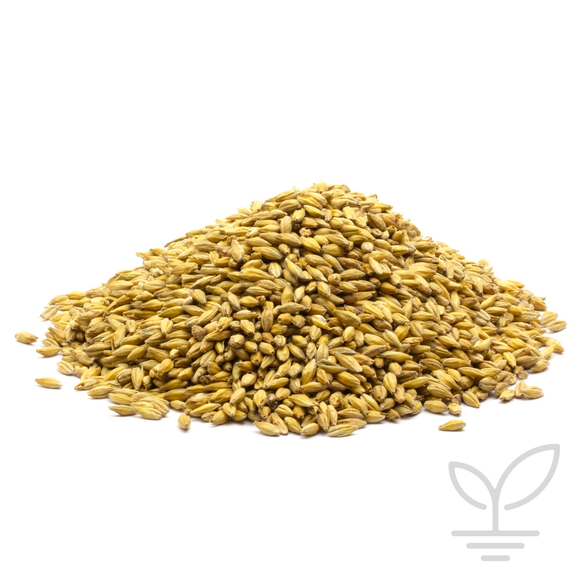 Seacliff Organics - 2 Row Malted Barley - Organic Certified